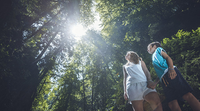 Montagne, boschi e paesaggi incontaminati della Valle di Ledro