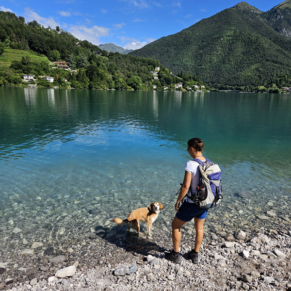 Cani e persone che si godono la spiaggia di Pur, area dog friendly sul Lago di Ledro